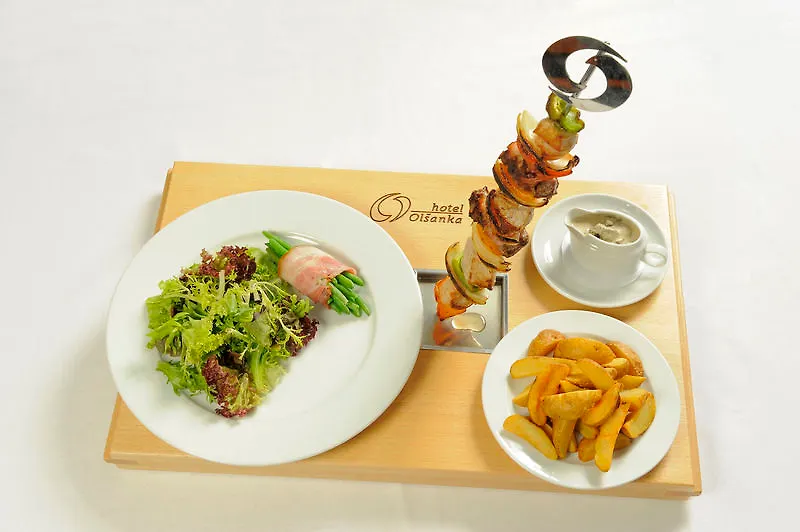 Congress & Wellness Hotel Olsanka Prague